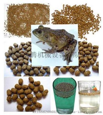 广东MT品牌大型牛蛙饲料膨化机鱼饲料颗粒机生产商