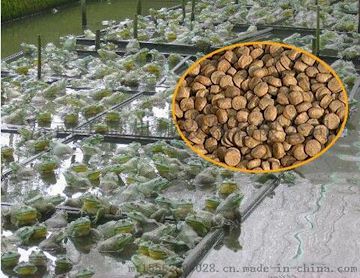 汕头小产量200公斤水产鱼类牛蛙饲料膨化机